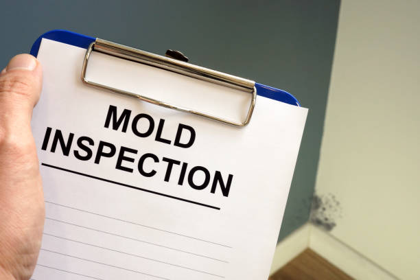 Best Environmental Consulting for Mold Prevention  in Oakland, PA